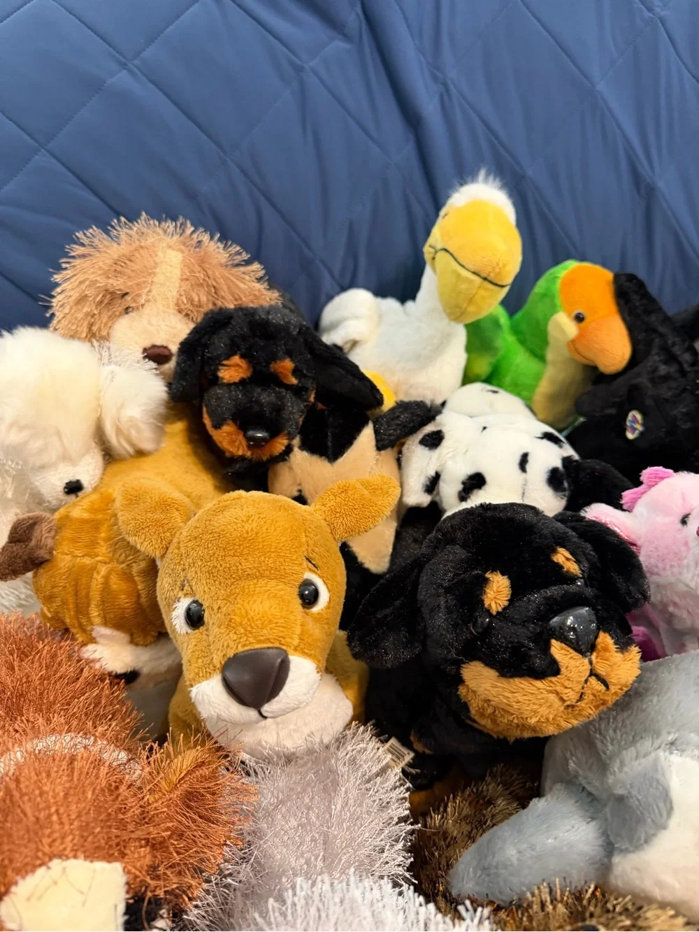 GANZ webkinz plush